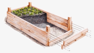 Custom Vegetable Gardens - Raised Garden Beds Sketch #7941295