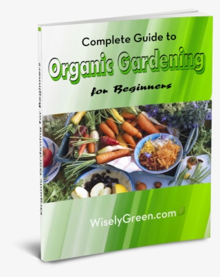 Click On Free Ebook And Download Today - Superfood #7941496