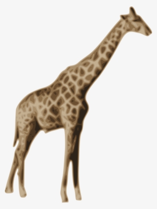 All Photo Png Clipart - National Geographic Tv Channel #7943093