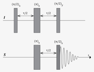 Inept Pulse Sequence - Inept Nmr #7943407