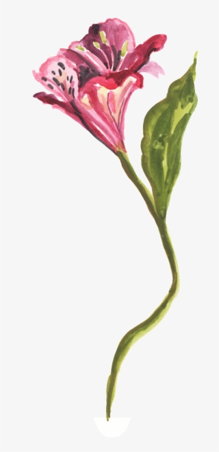 Black Yellow Flower Transparent Decorative - Lily #7943791