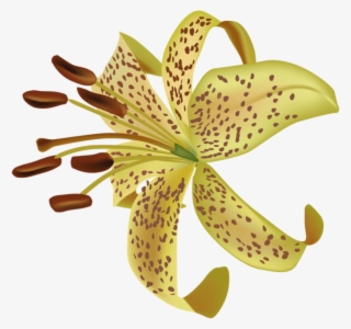 Free Png Download Exotic Flower Transparent Png Images - Flower Exotic Png #7944112