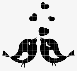 Download Png - Black And White Lovebird #7944415