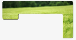 Major Disc Mower Blades #7944870