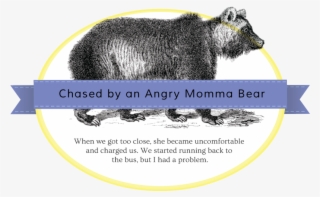 Momma Bear Badge - Punxsutawney Phil #7945287