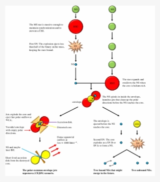 A Schematic Drawing Of The Polar Cejsn Scenario We - Diagram #7945458