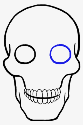How To Draw Skull - Draw A Skull #7945848