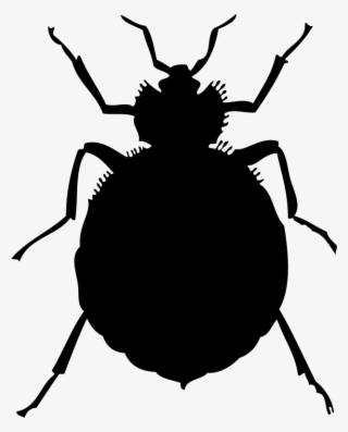 1250 X 1250 3 - Bed Bugs Clipart #7946006