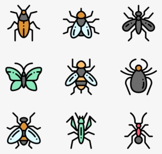 Insects - Membrane-winged Insect #7946253