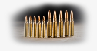 The Trail Thermal Sights Feature High Shock Resistance - 223 Vs 308 #7946550