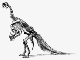 Velociraptor Clipart Cute Dinosaur - Dinosaurs Didn T Read Now They Are Extinct #7946975