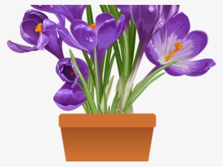 Original - Spring Flower Pot Png #7948064