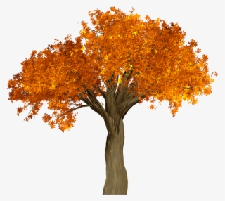 Cutout Autumn Tree #7948478 Cutout Autumn Tree #7948478