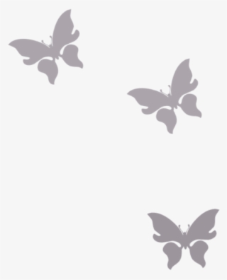 Thumb Image - Butterfly Png White #7949409