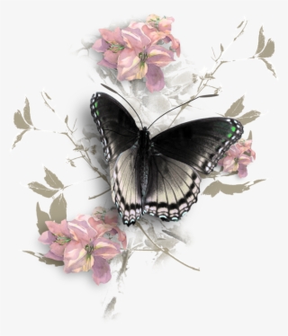 Яндекс - Фотки - - Clipart Butterfly Illustration, - Red Spotted Purple Butterfly #7949459