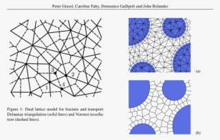 Lattice Element Arrangement Around Inclusions - Diagram #7950267