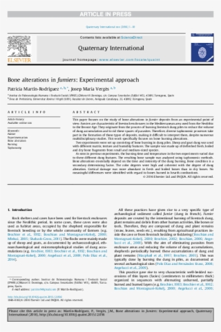 Pdf - Fungi From Palm Xxxx Pdf #7951429