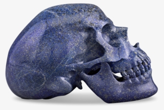 Lapis Lazuli Skull By Andreas Von Zadora-gerlof - Skull #7951596