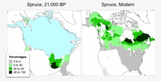 Big Data Is How Can Map Where Spruce Trees Grew 21,000 - Diamond Mines In Canada #7952071