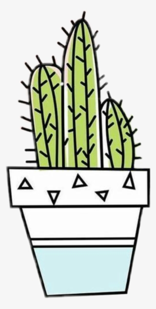 Cactus Doodle Drawing Tumblr Sticker 🌹annie🌹 Png - Fondos De Pantalla Para Chicas #7954472