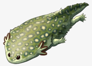 Tumblr Oc1q0ily511s5f2yxo1 1280 - Plagiosaurus #7954543