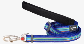 Products - Belt #7954918