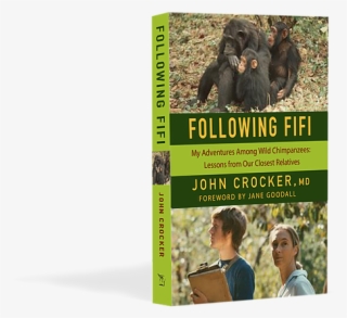 He Would Follow Families Of Wild Chimpanzees From Sunrise #7955188