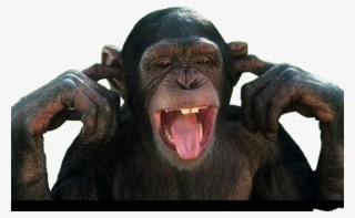 Sarah Hanson Young Memes #7955311 Sarah Hanson Young Memes #7955311