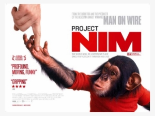 Bob Ingersoll Interview - Icon Films- Project Nim #7955497