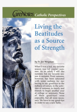 20966 Standing - Mountain Gorilla #7955668