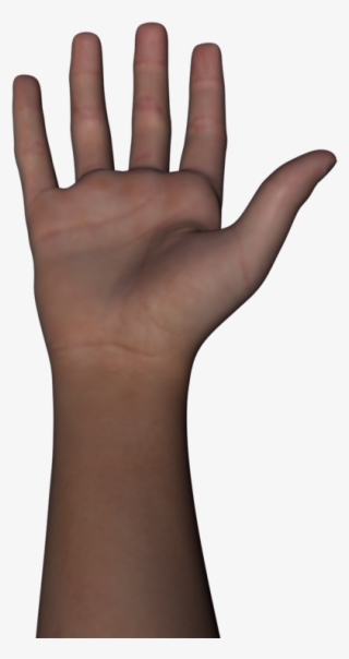 Arm - Brazo Del Cuerpo Humano #7955912