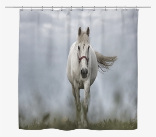 White Horse - Mane #7956389