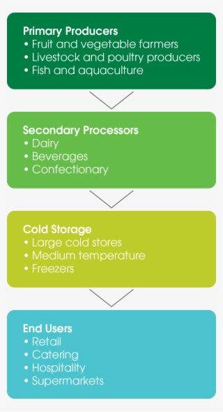 The Cold Chain - Colorfulness #7956575