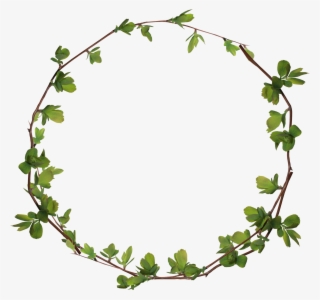 Clip Art Leaves Ring Transprent Png Free Ⓒ - Circle Fall Leaves Clipart #7956687