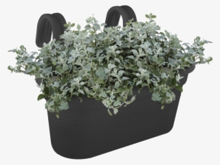 Home > Collection > Green Basics Easy Hanger - Flowerpot #7957114