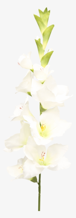 Gladiolus Spray White - Artificial Flower #7959825
