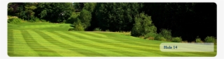 Lawn #7961544