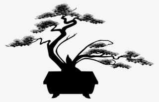 Download Png - Bonsai #7961704
