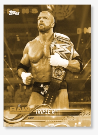 2018 Topps Wwe Triple H - Professional Boxing #7961706