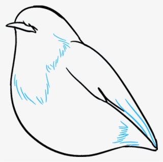 How To Draw Robin - Mountain Bluebird #7961773