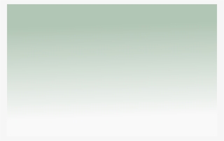 Trees - Shrubbery - Plants - Trier #7962492