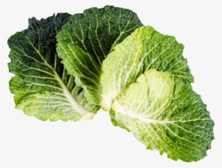 Free Vegetables Images With Transparent Background #7962736 Free Vegetables Images With Transparent Background #7962736