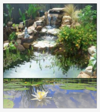 Placed Shrubbery Or Bushes For Easy Maintenance - Backyard Ponds #7962782