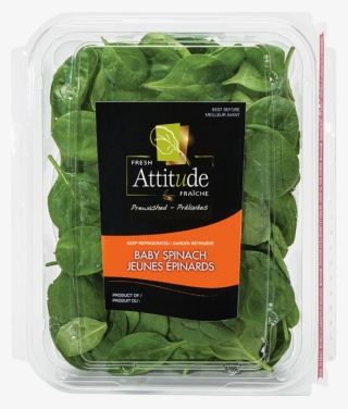 Attitude Spinach #7962785