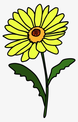 Daisy, Petals, Yellow, Png - Sunflower #7962860