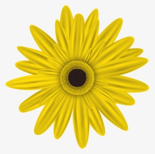 Download - Transparent Daisy Flower - Free Transparent PNG Download ...