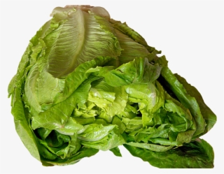 Lettuce Png Image - Lettuce #7963140