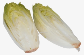 Laminated Poster Chicory Cabbage A Vegetable Vegetables - Chicory Veg #7963248