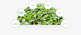 Assuring Top Quality Throughout All Product Cycles - Diagram #7963294