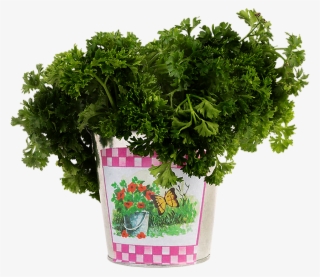 Persil - Flowerpot #7963328